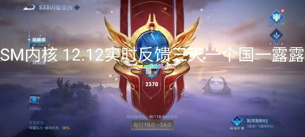 王者荣耀辅助SM12/15游戏反馈